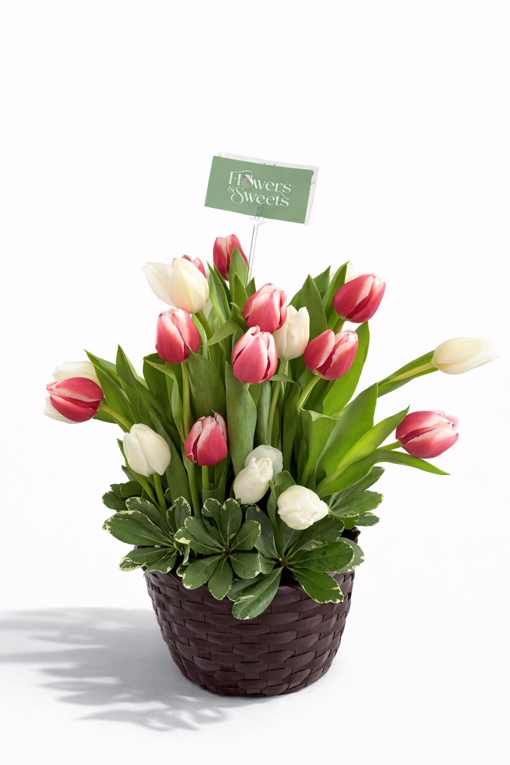 Blush & White Tulip Basket