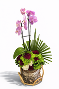 Orchid Statement Log Design