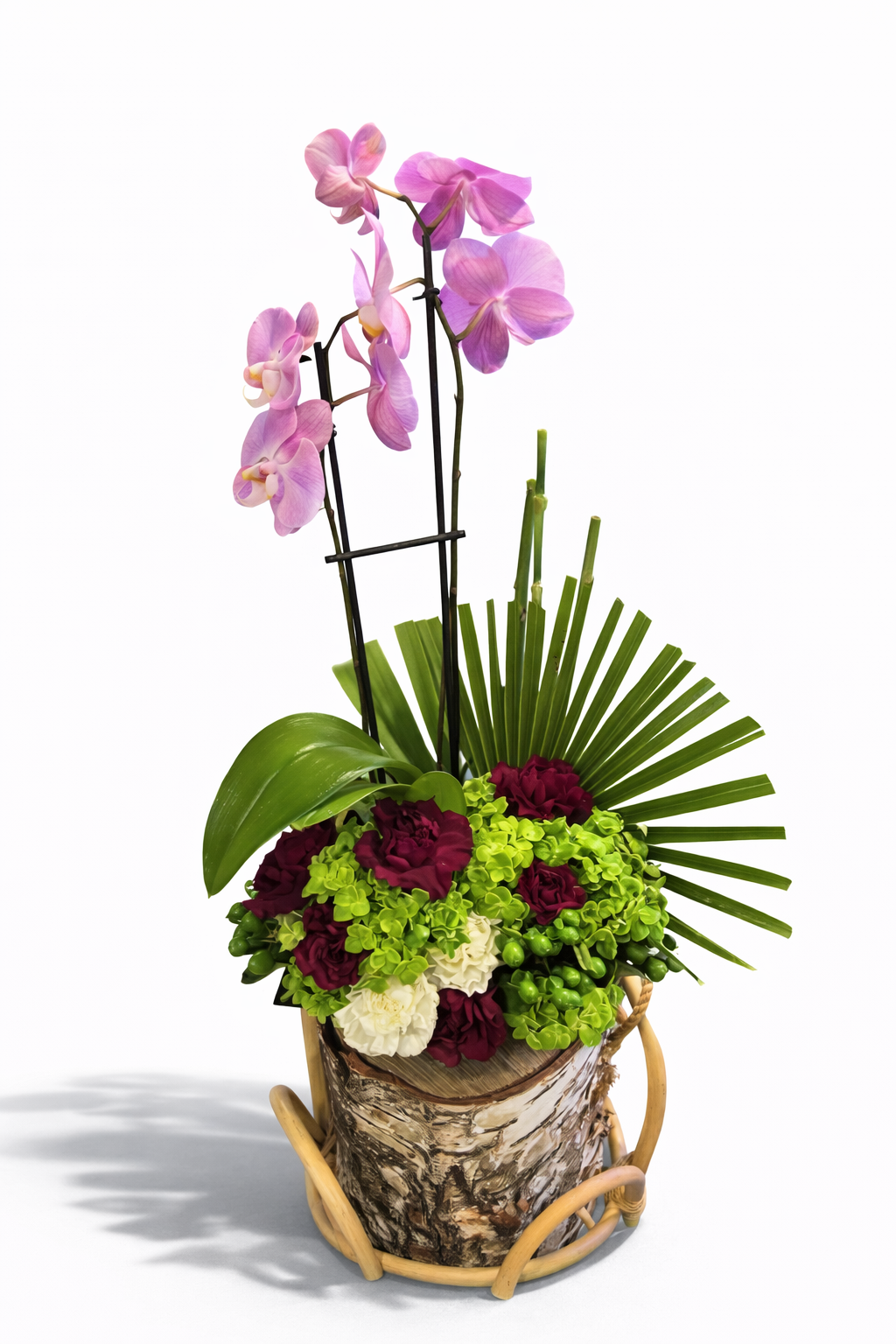 Orchid Statement Log Design